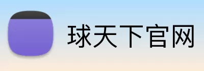 球天下官网 Logo